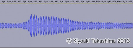 スズムシ波形