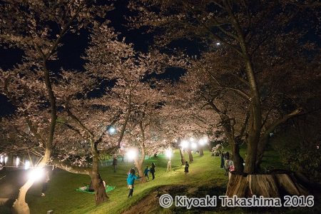 鶴岡公園　19：22