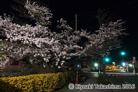 川端通り　20：14